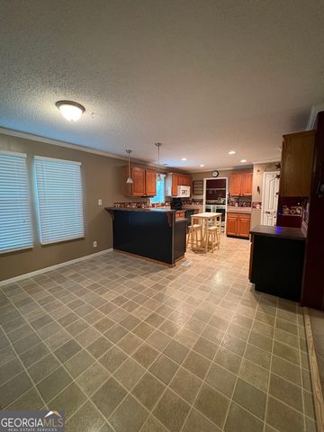 2648 Orphans Cemetery Road, Eastman, GA 31023