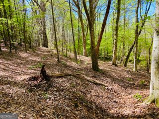 2B Curry Falls Trail, Athens, GA 30607