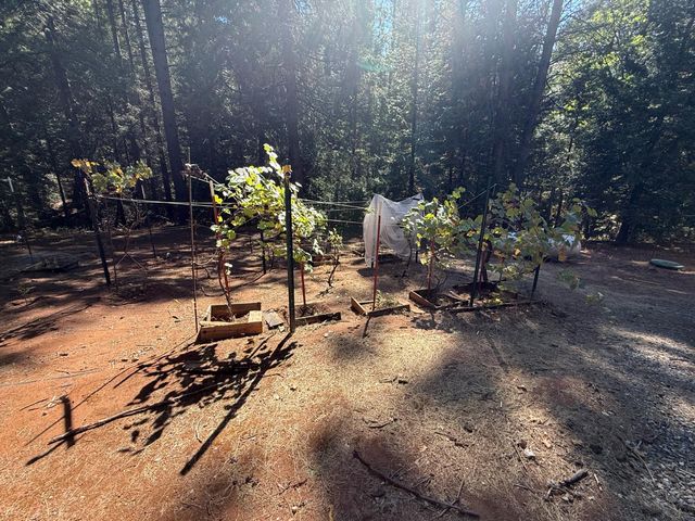 1546 Skull Springs Rd, West Point, CA 95255