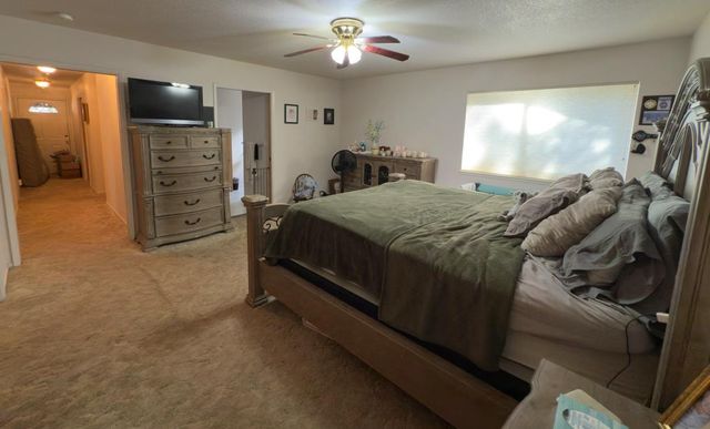 1546 Skull Springs Rd, West Point, CA 95255