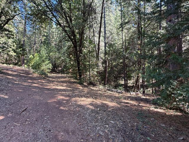 1546 Skull Springs Rd, West Point, CA 95255