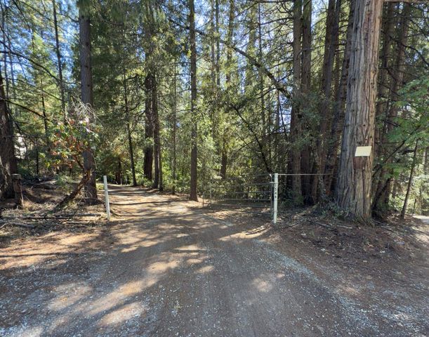 1546 Skull Springs Rd, West Point, CA 95255