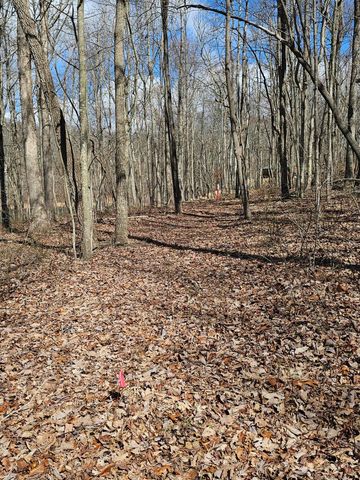 24 Blumont Drive 24, Altamont, TN 37301