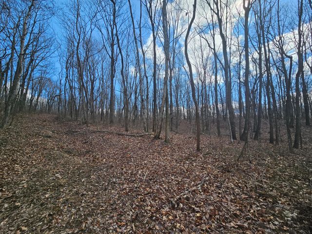 24 Blumont Drive 24, Altamont, TN 37301