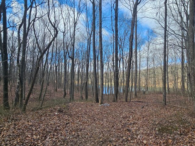 24 Blumont Drive 24, Altamont, TN 37301