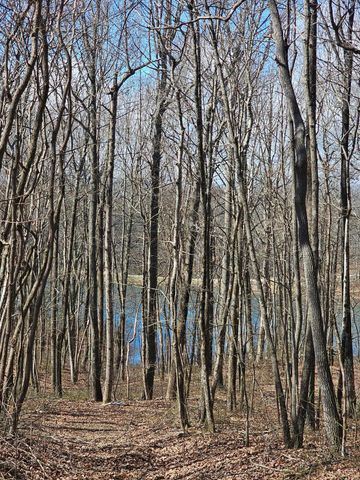 24 Blumont Drive 24, Altamont, TN 37301
