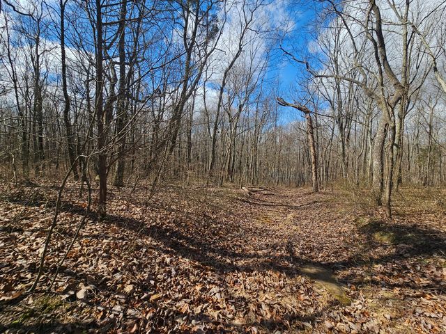 24 Blumont Drive 24, Altamont, TN 37301