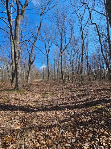 24 Blumont Drive 24, Altamont, TN 37301