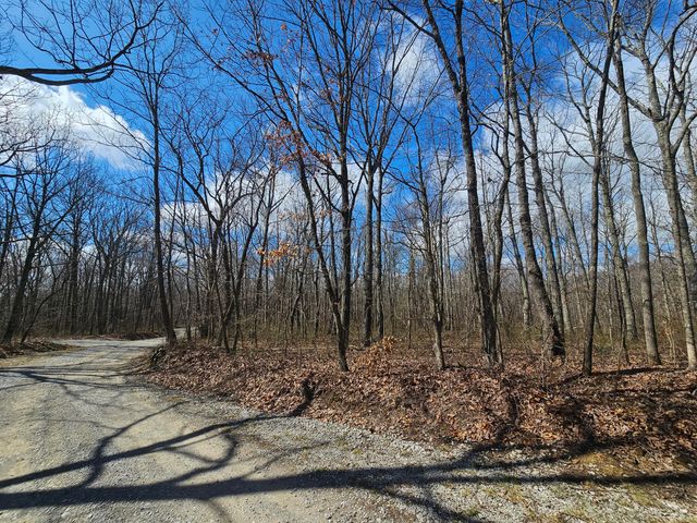 24 Blumont Drive 24, Altamont, TN 37301