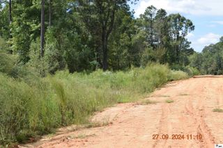 0 J MUSGROVE ROAD, Bastrop, LA 71220