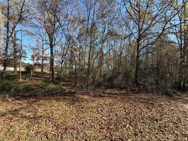 TBD Overland Trail, Trinity, TX 75862