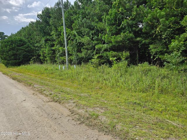 Lot 10 & 9 Powell Lane, Loris, SC 29569