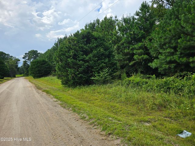 Lot 10 & 9 Powell Lane, Loris, SC 29569