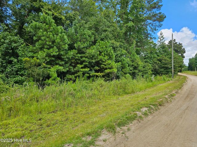 Lot 10 & 9 Powell Lane, Loris, SC 29569