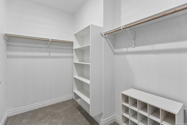 63 Ricadonna, San Antonio, TX 78253