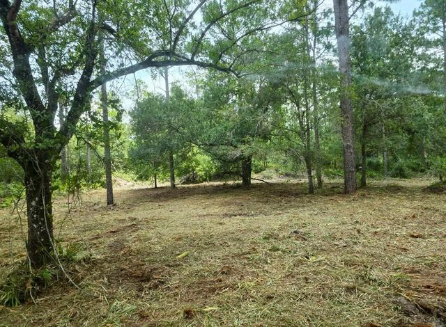 0 Belmonte Drive, Indian Lake Estates, FL 33855