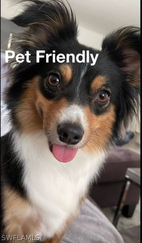 3999 Guava DR, Naples, FL 34104