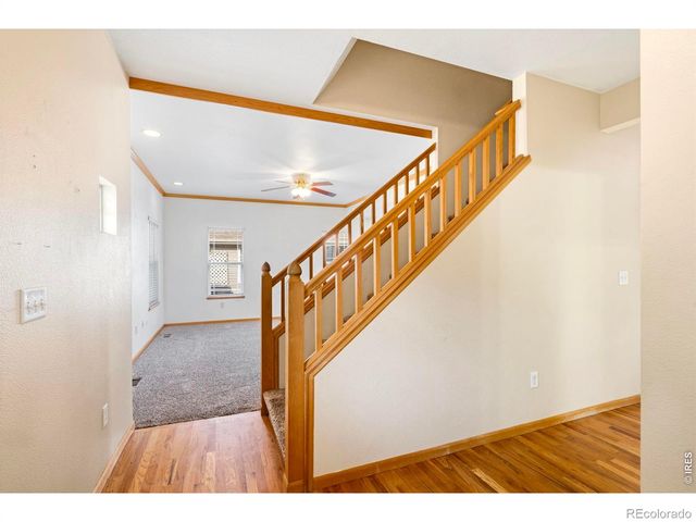 1422 Fairfield Avenue, Windsor, CO 80550