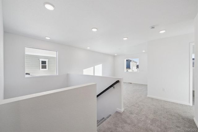 5594 Brangus Drive, Windsor, CO 80528