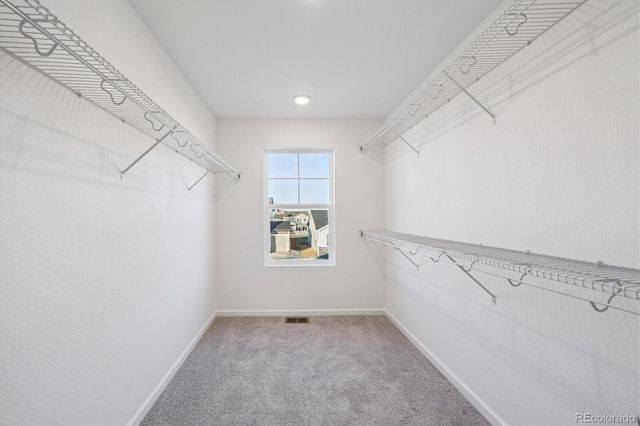 5594 Brangus Drive, Windsor, CO 80528