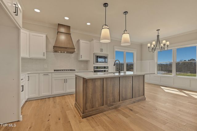 294 River Pointe Drive, Greeneville, TN 37743