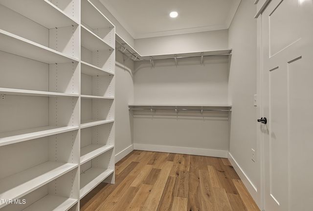 294 River Pointe Drive, Greeneville, TN 37743