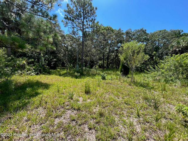18904 Craig Loop, Hudson, FL 34667