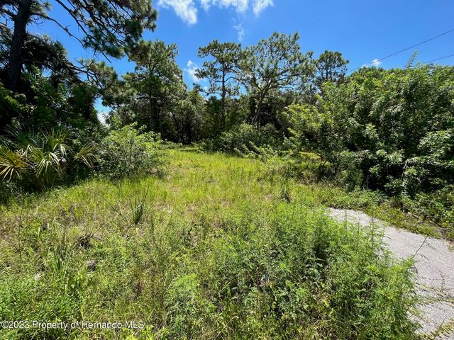 18904 Craig Loop, Hudson, FL 34667