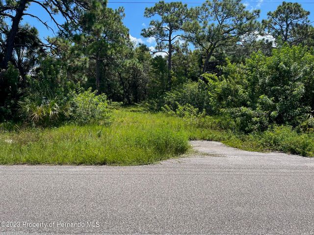 18904 Craig Loop, Hudson, FL 34667