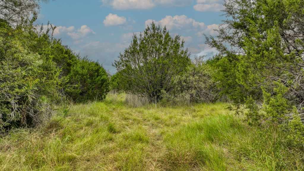 9133 Mcarthur Court, Tolar, TX 76476