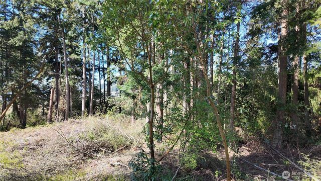 0 Wagner Road, Camano Island, WA 98282