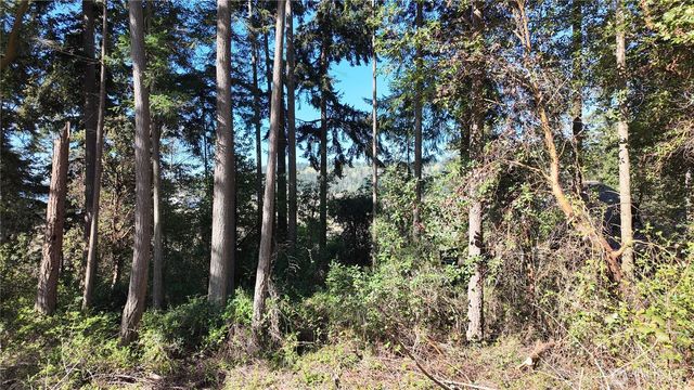 0 Wagner Road, Camano Island, WA 98282