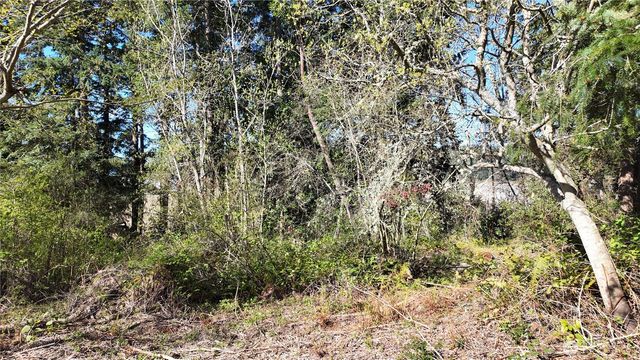 0 Wagner Road, Camano Island, WA 98282