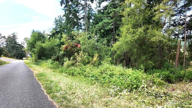 0 Wagner Road, Camano Island, WA 98282