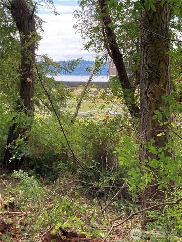 0 Wagner Road, Camano Island, WA 98282