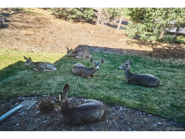 7 Vinca, Littleton, CO 80127