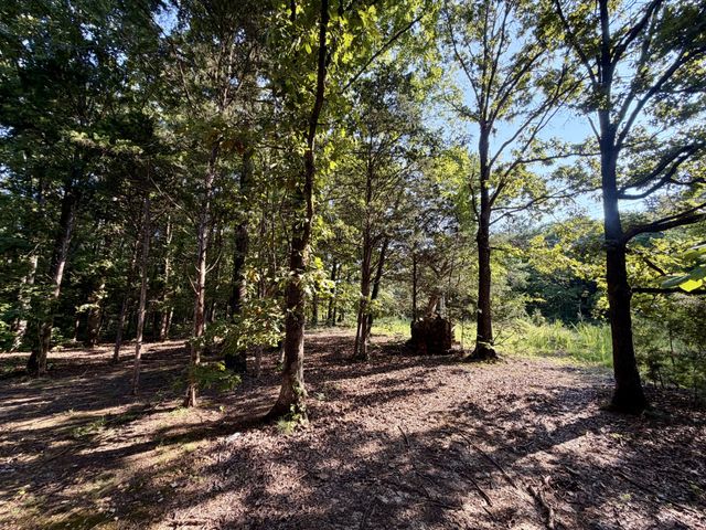 663 Promise Land Rd, Charlotte, TN 37036