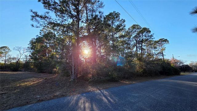 13122 ANGLER STREET, Spring Hill, FL 34609