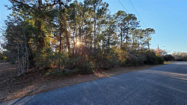 13122 ANGLER STREET, Spring Hill, FL 34609