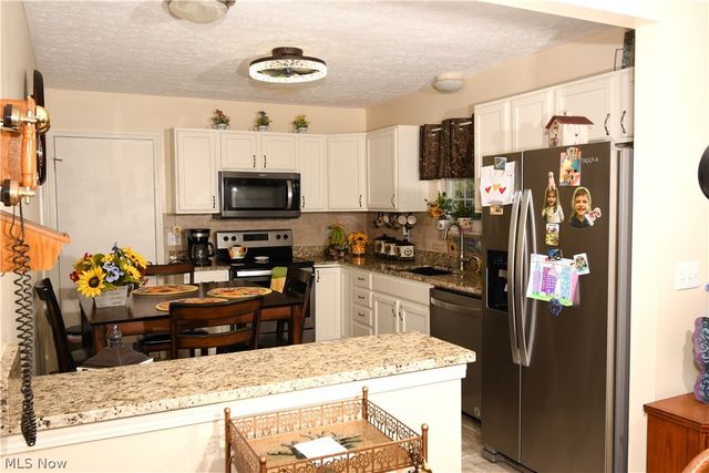 24577 Meadow Lane 36, Olmsted Falls, OH 44138