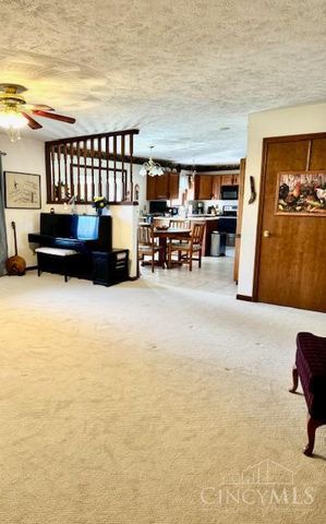 918 Willow Bend Drive, Wilmington, OH 45177