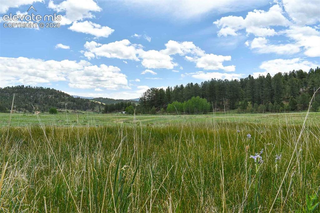 729 Valley Drive, Guffey, CO 80820 — exterior