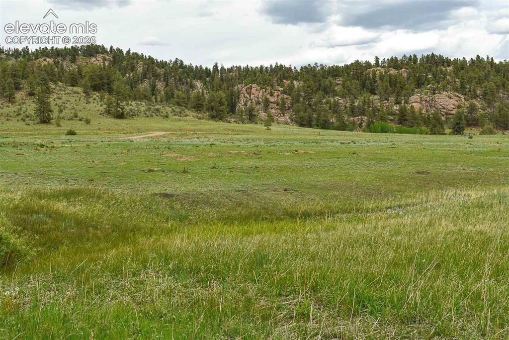 729 Valley Drive, Guffey, CO 80820 — photo 2