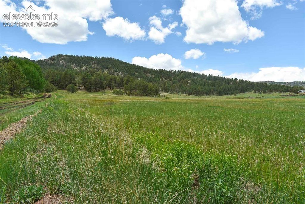 729 Valley Drive, Guffey, CO 80820 — photo 3