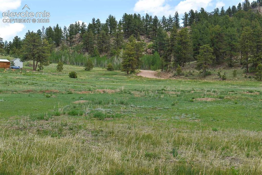 729 Valley Drive, Guffey, CO 80820 — photo 4