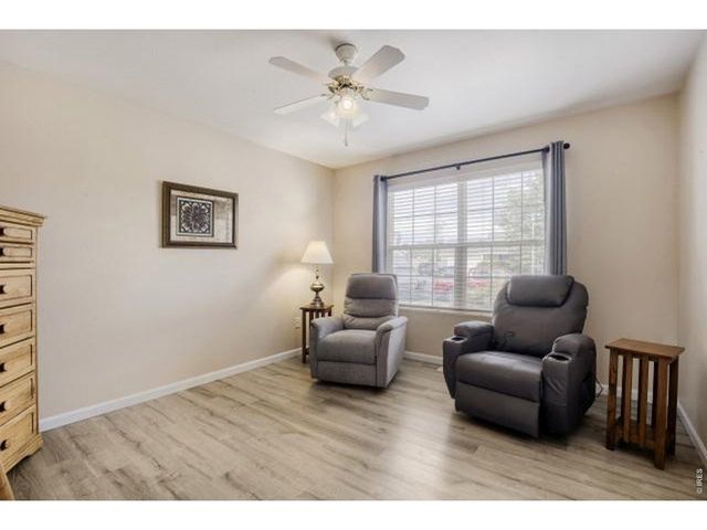 1012 Basin Ct, Windsor, CO 80550