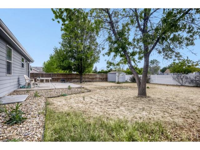 1012 Basin Ct, Windsor, CO 80550