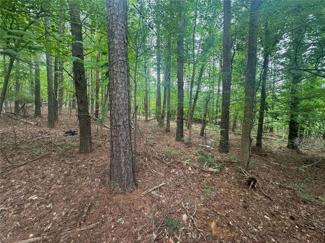 1460 Sam Nelson Road, Canton, GA 30114