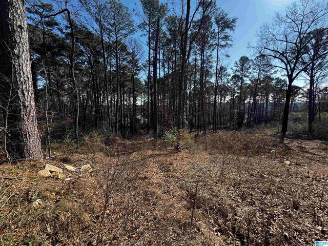 250 TWIN LAWN DRIVE, Birmingham, AL 35217