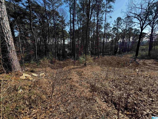 250 TWIN LAWN DRIVE, Birmingham, AL 35217